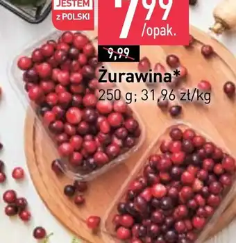 Stokrotka Market Żurawina oferta
