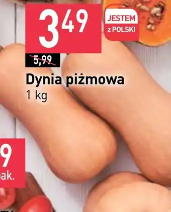 Stokrotka Market Dynia oferta