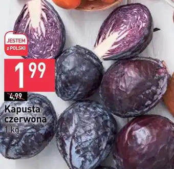 Stokrotka Market Kapusta czerwona oferta