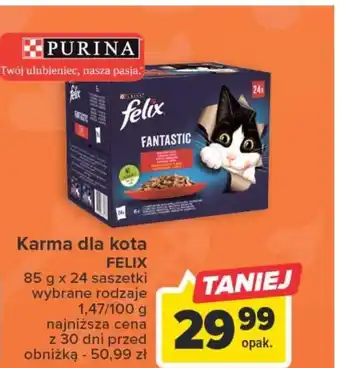 Carrefour Karma dla kota oferta