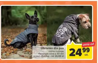 Carrefour Ubranko dla psa oferta