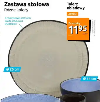 Action Talerz obiadowy oferta
