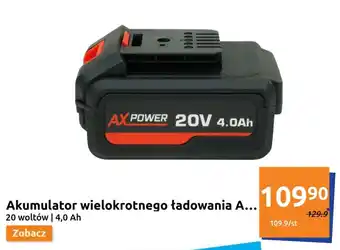 Action Akumulator wielokrotnego ładowania 20 V oferta