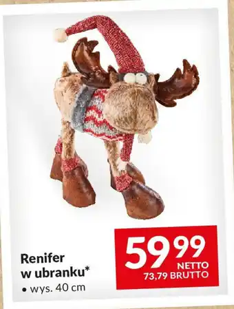 Makro Renifer w ubranku oferta