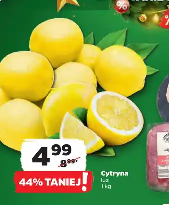Netto Cytryna oferta