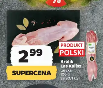 Netto Królik las kalisz oferta