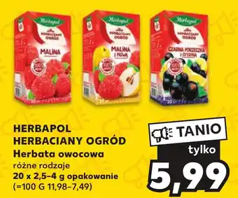 Kaufland HERBAPOL HERBACIANY OGRÓD Herbata owocowa 20x2,5-4g oferta