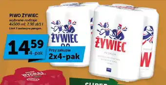 Groszek PIWO ŻYWIEC 4x500 ml oferta