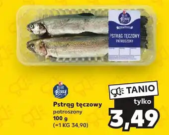 Kaufland Pstrąg tęczowy oferta