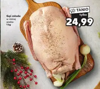 Kaufland Gęś młoda 1 kg oferta