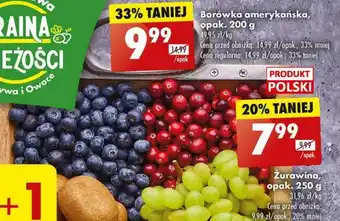 Biedronka Borówka amerykańska, opak. 200 g oferta