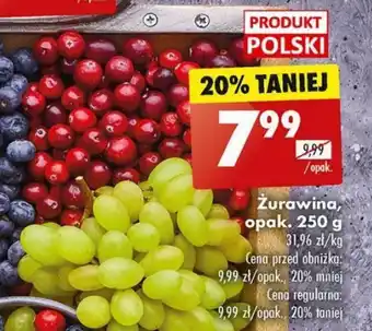 Biedronka Żurawina, opak. 250 g oferta