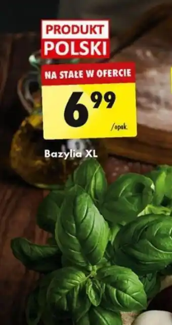 Biedronka Bazylia XL oferta