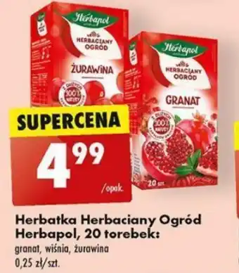 Biedronka Herbatka Herbaciany Ogród Herbapol 20 torebek oferta