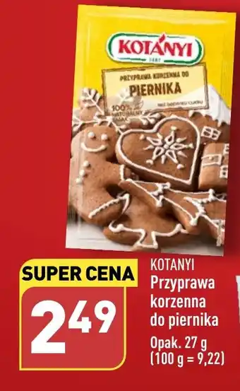 ALDI Przyprawa korzenna do piernika oferta