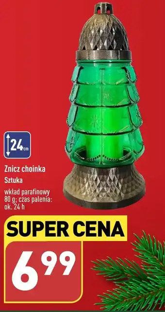 ALDI Znicz choinka oferta