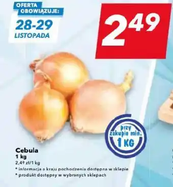 Lewiatan Cebula 1 kg oferta
