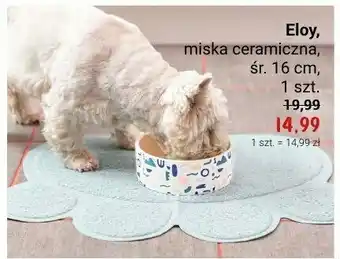 Rossmann Miska ceramiczna 16 cm 1 SZT oferta