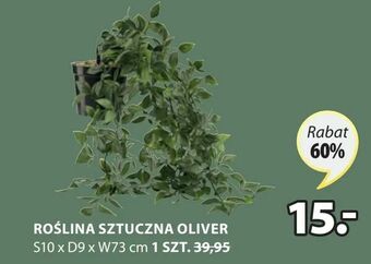 JYSK Roślina sztuczna oliver oferta