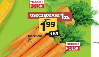 Netto Marchew oferta