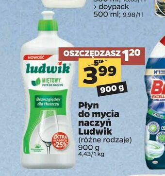 Netto Płyn do mycia naczyń Ludwik oferta