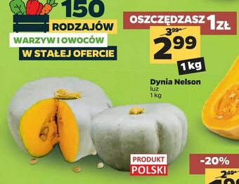Netto Dynia Nelson oferta