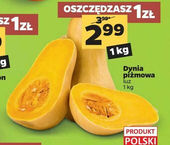 Netto Dynia piżmowa oferta