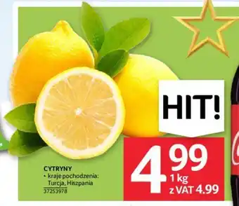 Selgros CYTRYNY 1kg oferta