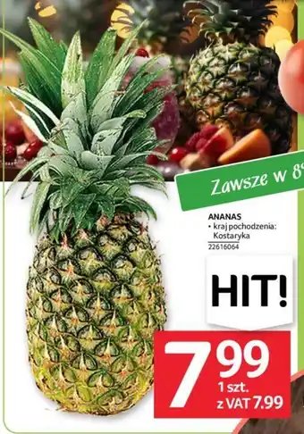 Selgros ANANAS 1szt. oferta