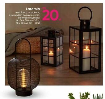 Pepco Latarnia oferta