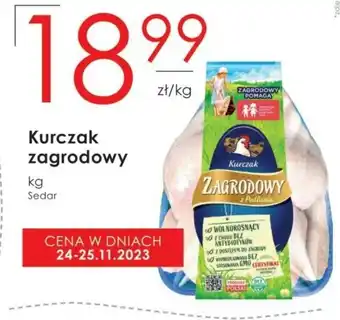 Frac Kurczak sedar oferta