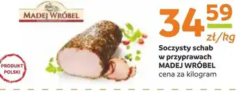 Gama Schab madej wróbel oferta