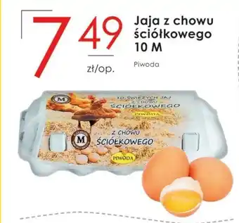 Jaja piwoda