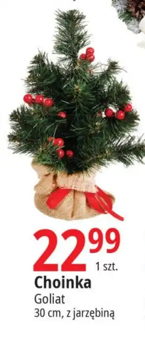E.Leclerc Choinka Goliat oferta