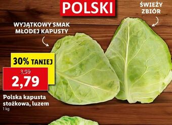 Lidl Polska kapusta stożkowa, luzem oferta