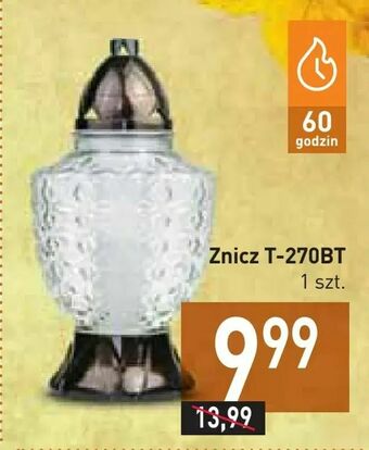 Stokrotka Znicz T-270BT oferta