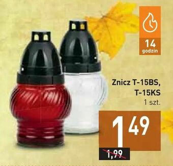 Stokrotka Znicz T-15BS, T-15KS oferta