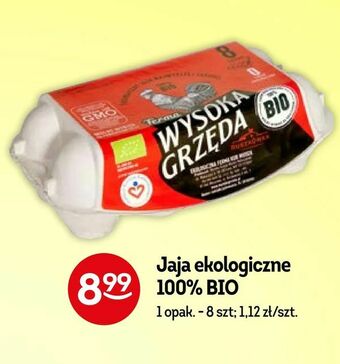 Żabka Jaja ekologiczne 100% BIO oferta