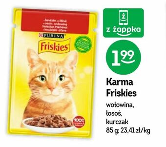 Żabka Karma Friskies oferta