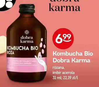 Żabka Kombucha Bio Dobra Karma oferta