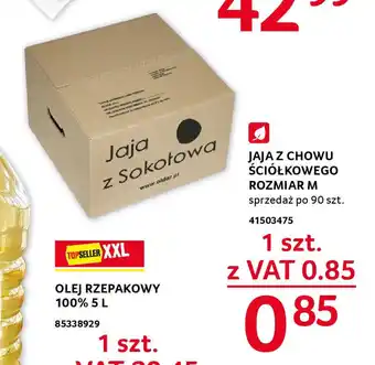 Selgros JAJA Z CHOWU ŚCIÓŁKOWEGO ROZMIAR M 1 SZT. oferta