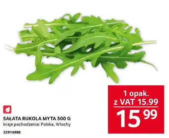 SAŁATA RUKOLA MYTA 500 G