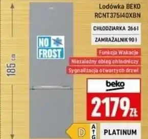 Neopunkt Lodówka beko oferta