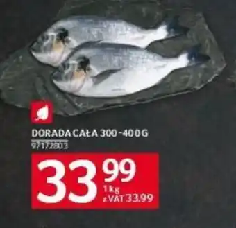 Selgros DORADA CAŁA 1kg oferta