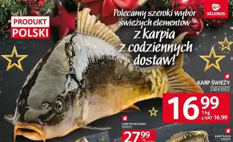 Selgros KARP ŚWIEŻY 1kg oferta