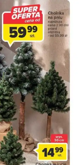 Carrefour Choinka na pniu oferta