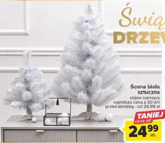 Carrefour Sosna biała sztuczna oferta