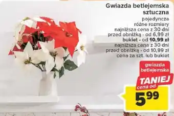 Carrefour Gwiazda betlejemska sztuczna oferta
