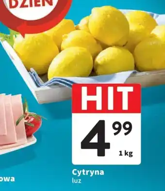 Intermarche Cytryna 1kg oferta