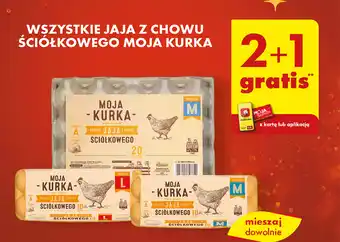 Biedronka WSZYSTKIE JAJA Z CHOWU ŚCIÓŁKOWEGO MOJA KURKA oferta